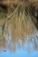 /album/flou-et-reflets/a23-02-14-st-michel-copie-copie-jpg/